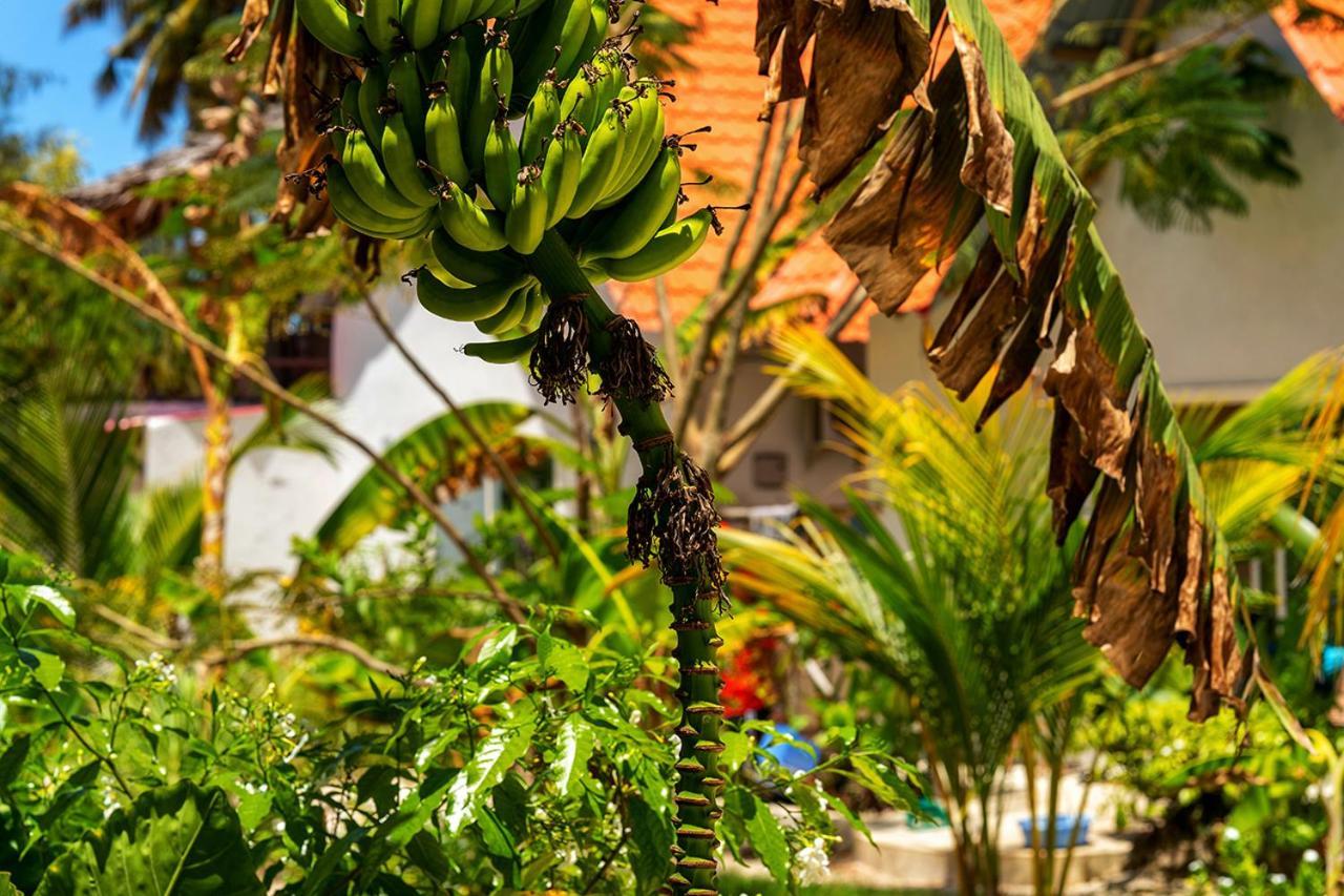 Hotell Heart Of Zanzibar Paje